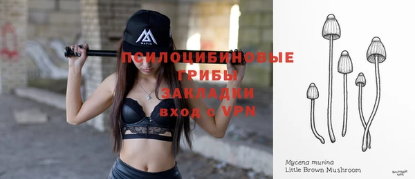 эйфоретик Дмитровск