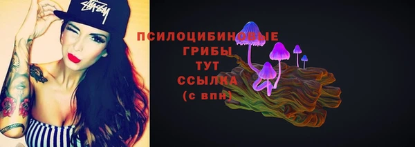 эйфоретик Дмитровск