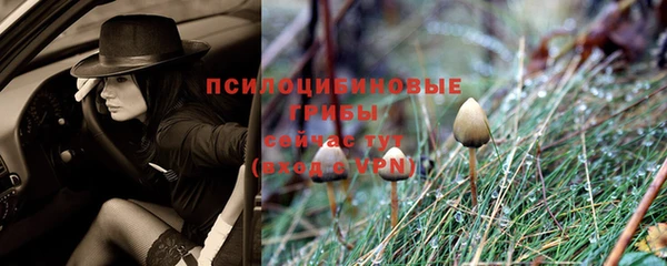 2c-b Дмитров
