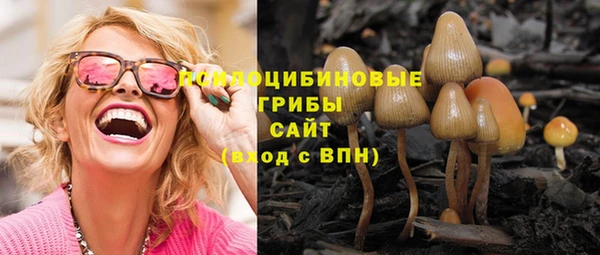 эйфоретик Дмитровск