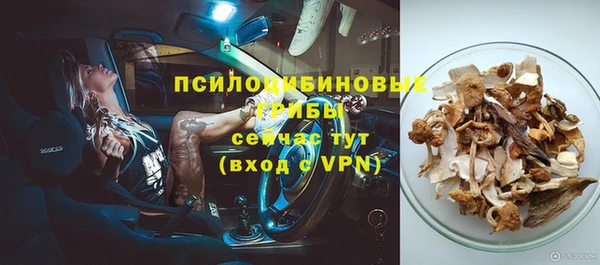 мдма Дмитриев