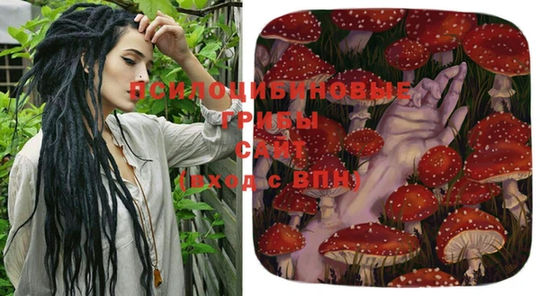 мдма Дмитриев