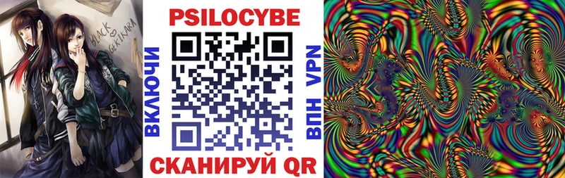 Купить закладки  Инсар  Галлюциногенные грибы Psilocybe 